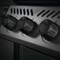 Ausgewählte Produkte -Napoleon || Santos || Broil King Verkaufsgeschäft napoleon freestyle 365 3 hauptbrenner mit seitenbrenner graphit a2e89d262a6687c2d8df6d458cd08519