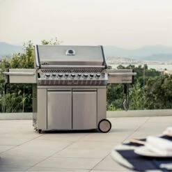 Napoleon Prestige Pro 665, Edelstahl Inkl. Drehspieß 22 Napoleon Prestige Pro 665, Edelstahl Inkl. Drehspieß -Napoleon || Santos || Broil King Verkaufsgeschäft napoleon pakpro665rsibpss 3 inkl drehspie ba9378e569a68aab8c228f4cc0213cc6