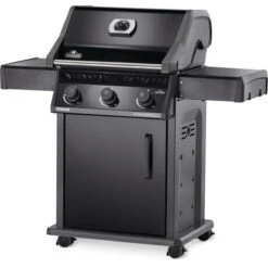 Napoleon Rogue 425, Schwarz 11 Napoleon Rogue 425, Schwarz -Napoleon || Santos || Broil King Verkaufsgeschäft napoleon r425pk 1 de schwarz 2020 c40af2ea2309d1415e2712fb00beec0b